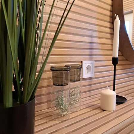 Herastrau 2 Διαμέρισμα Βουκουρέστι