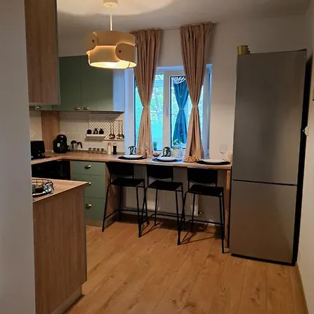 Herastrau 2 布加勒斯特