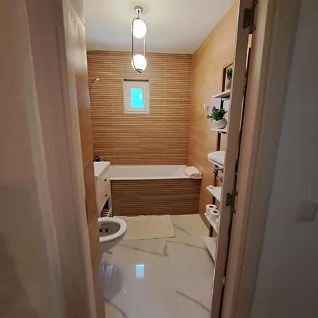 Herastrau 2 公寓 布加勒斯特