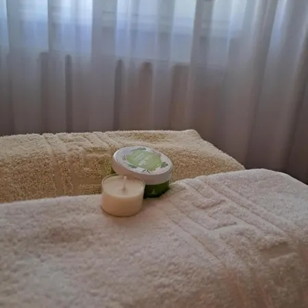 Herastrau 2 公寓 布加勒斯特