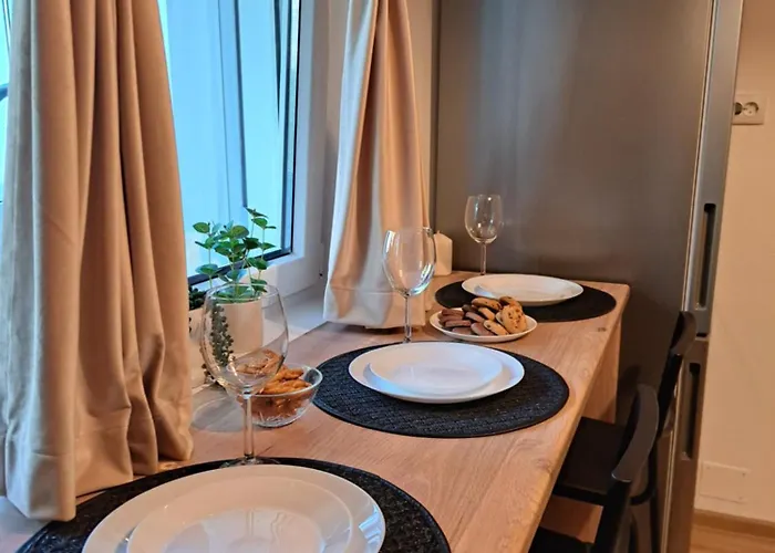 Apartment Herastrau 2 *